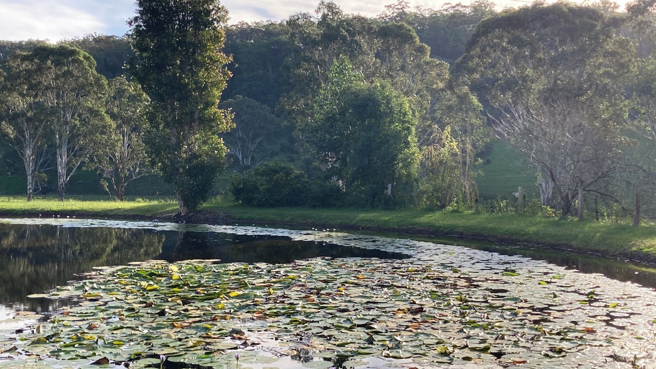 Photo of Others in Wollombi
