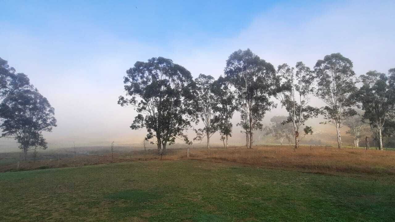 Photo of Outdoor in Wollombi