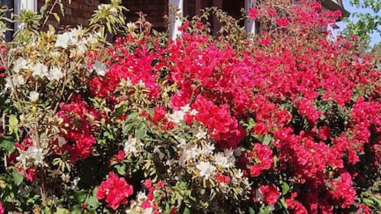 Photo of Outdoor in Carlingford