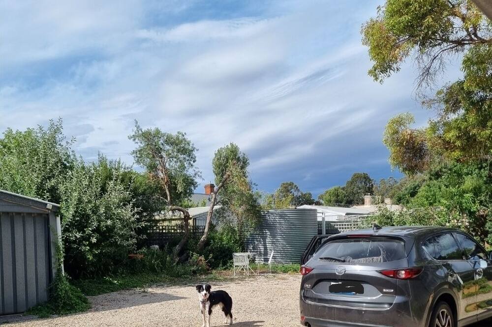 Photo of Outdoor in Angaston