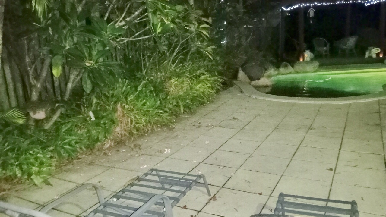 Photo of Outdoor in Oxenford