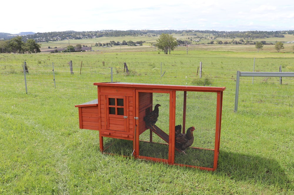 Photo of Outdoor in Cranley