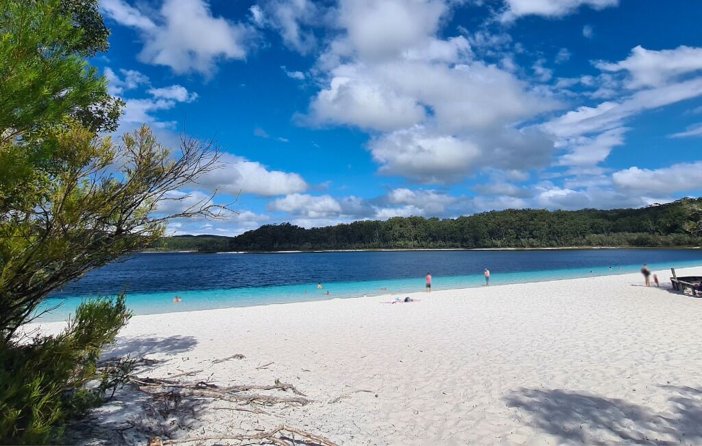 Photo of Others in Kingfisher Bay