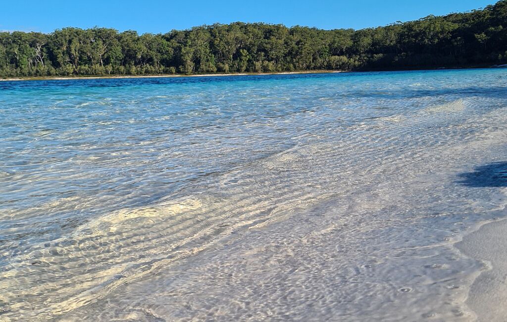 Photo of Others in Kingfisher Bay