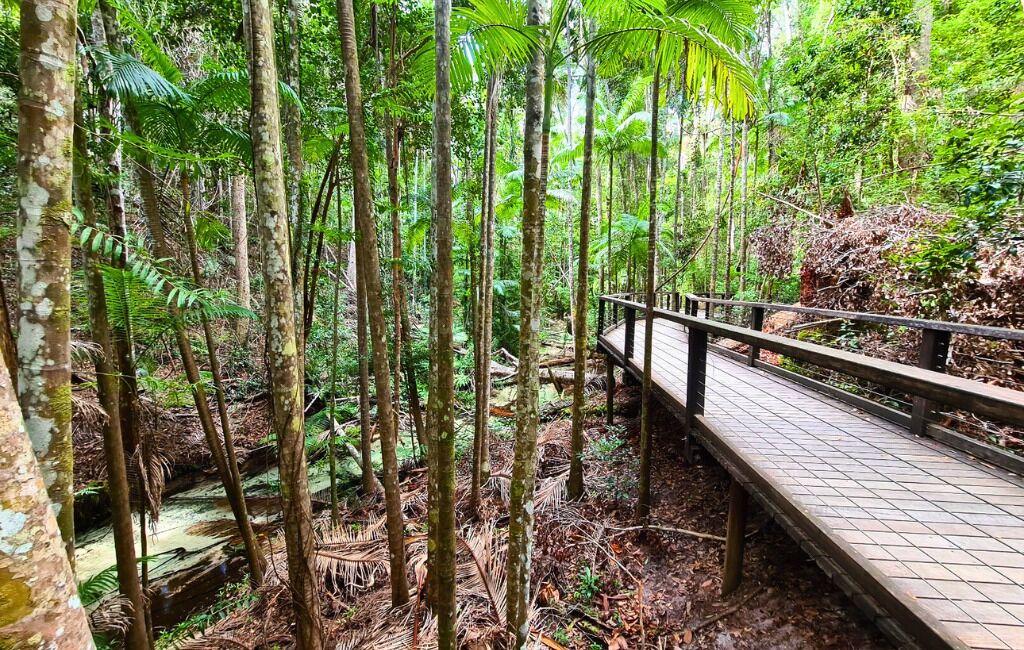 Photo of Outdoor in Kingfisher Bay