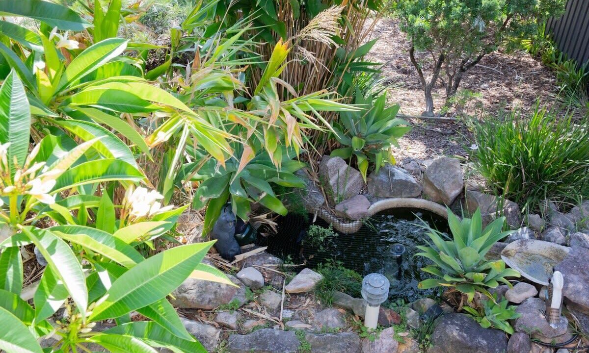 Photo of Outdoor in Bateau Bay