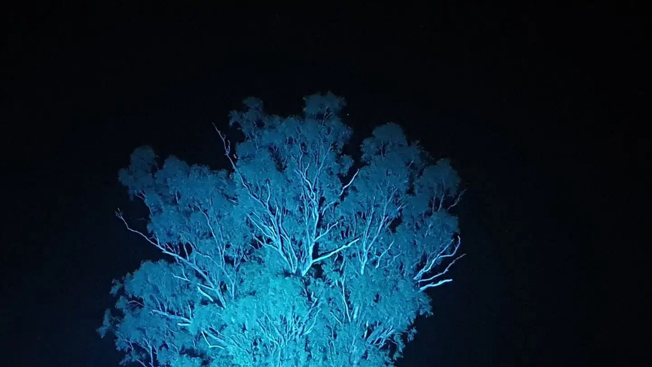 Photo of Others in Bullawa Creek