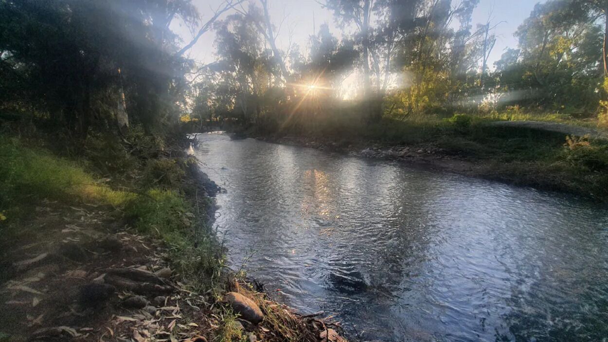 Photo of Others in Bullawa Creek