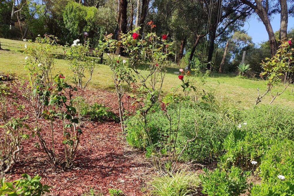 Photo of Outdoor in Lower Plenty