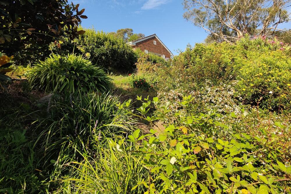Photo of Others in Lower Plenty