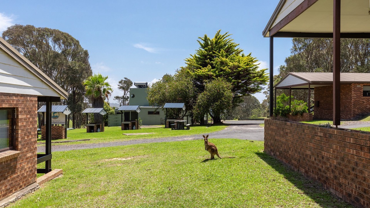 Photo of Outdoor in Barragga Bay