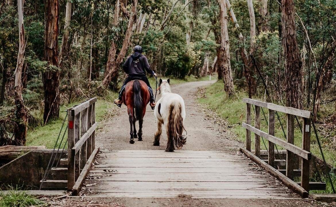 Photo of Others in Mount Evelyn