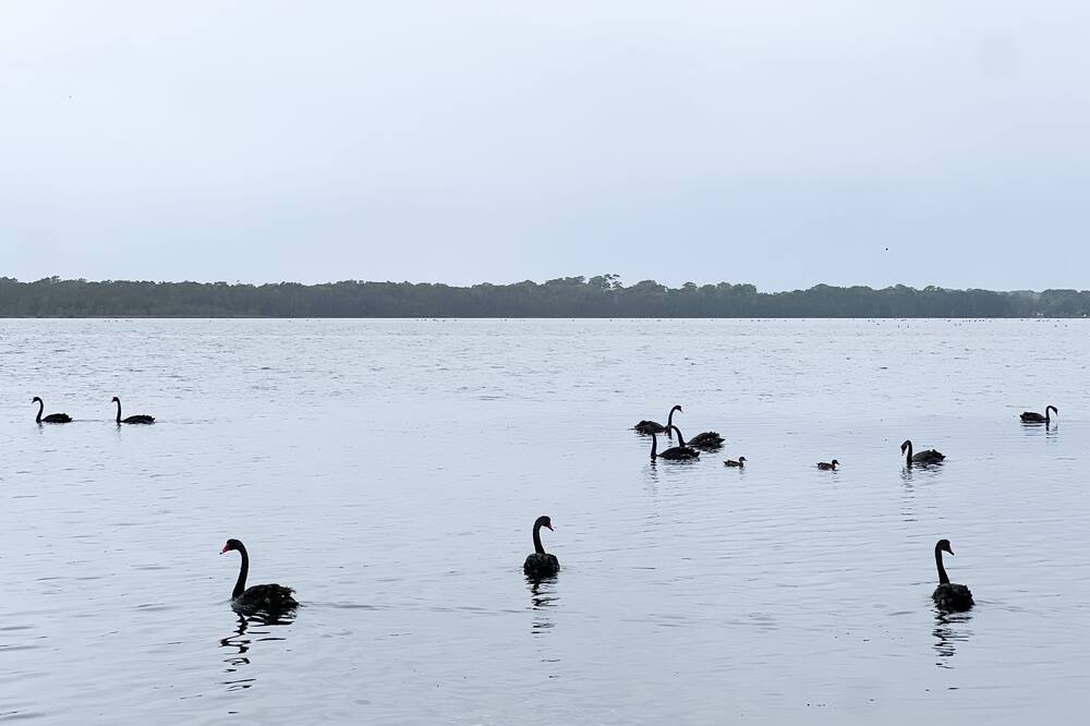 Photo of Others in Central Coast