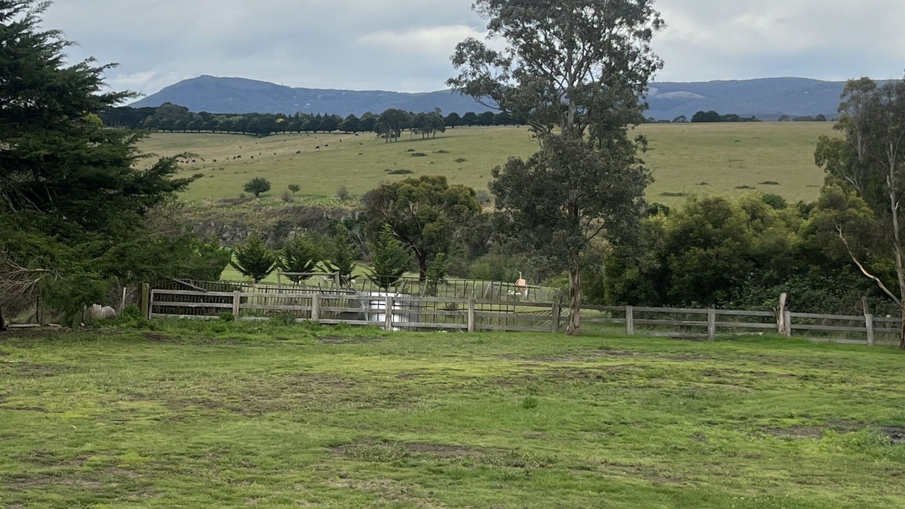 Photo of Outdoor in Gisborne