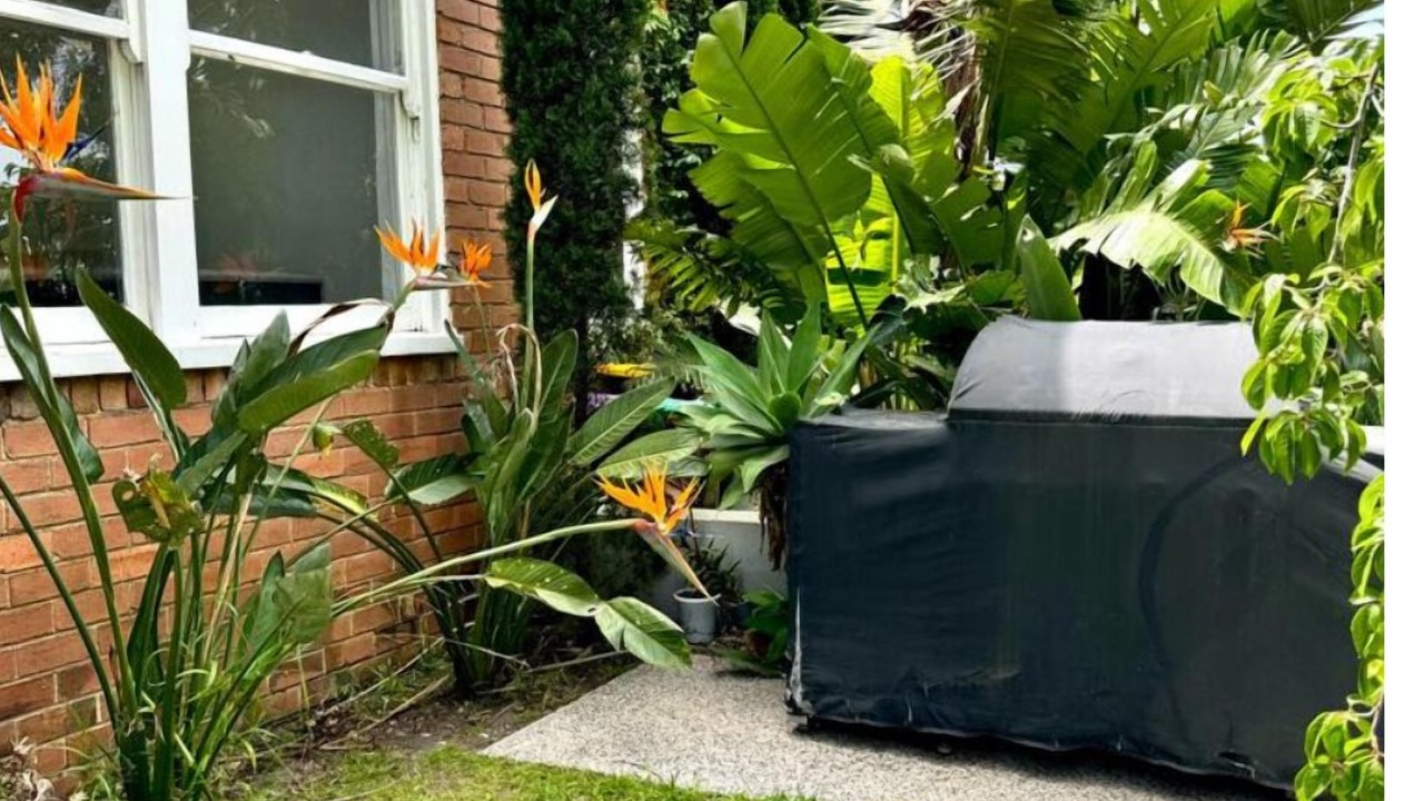 Photo of Outdoor in Melbourne