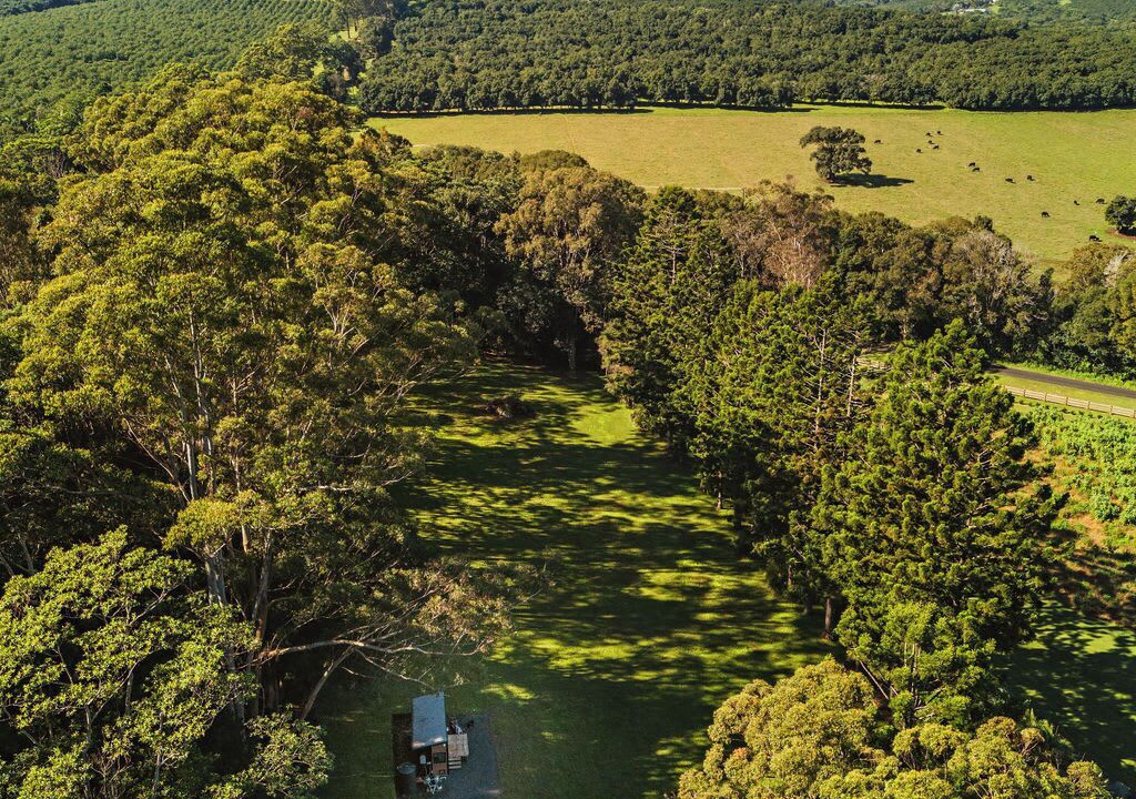 Photo of Others in Brooklet