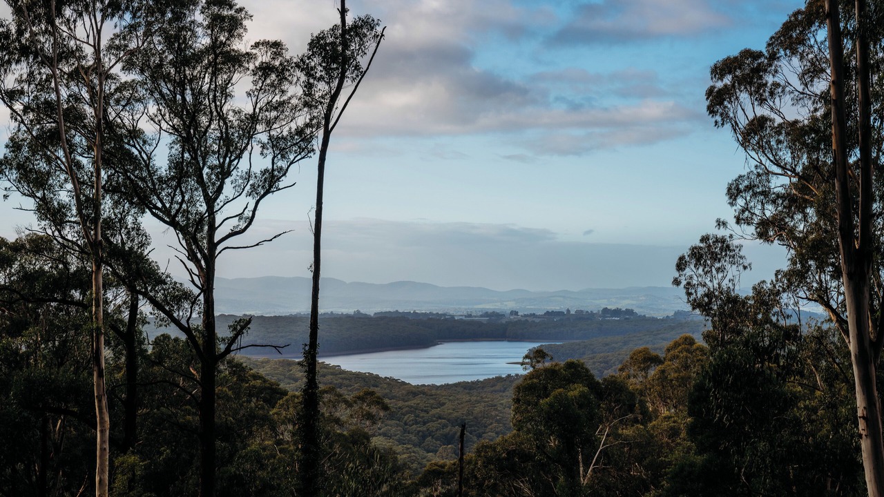 Photo of Others in Kalorama