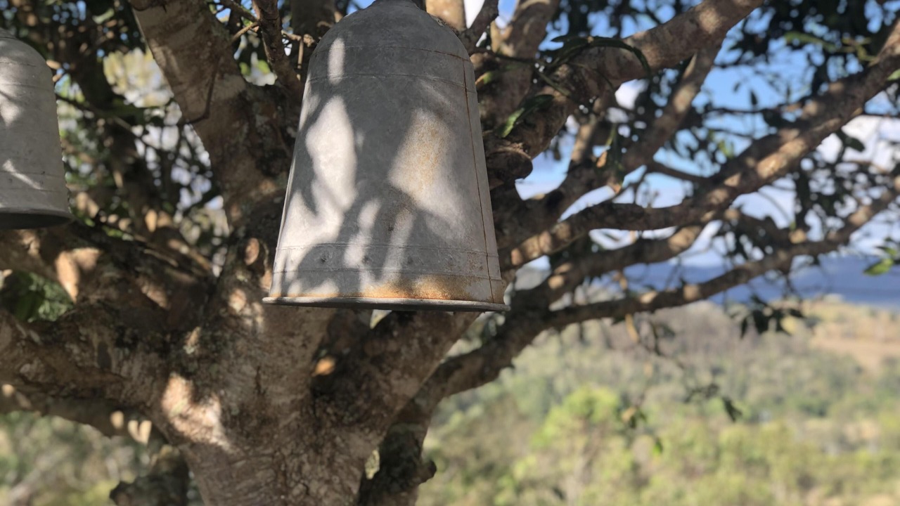 Photo of Outdoor in Kidaman Creek