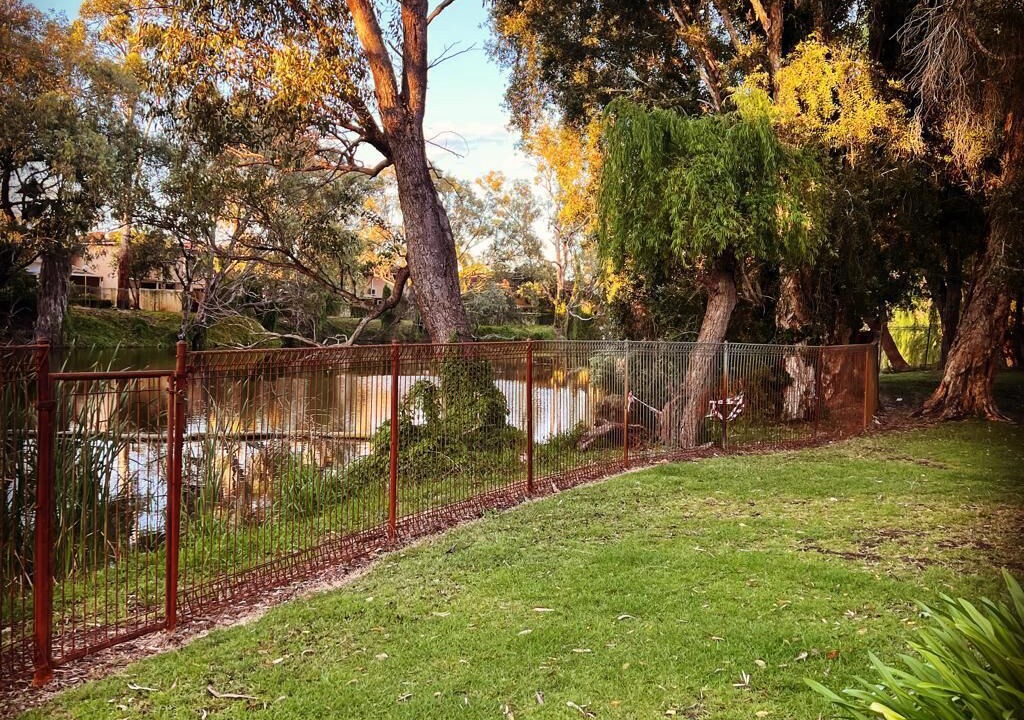 Photo of Outdoor in Maylands