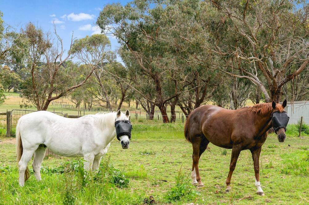 Photo of Others in Tyabb