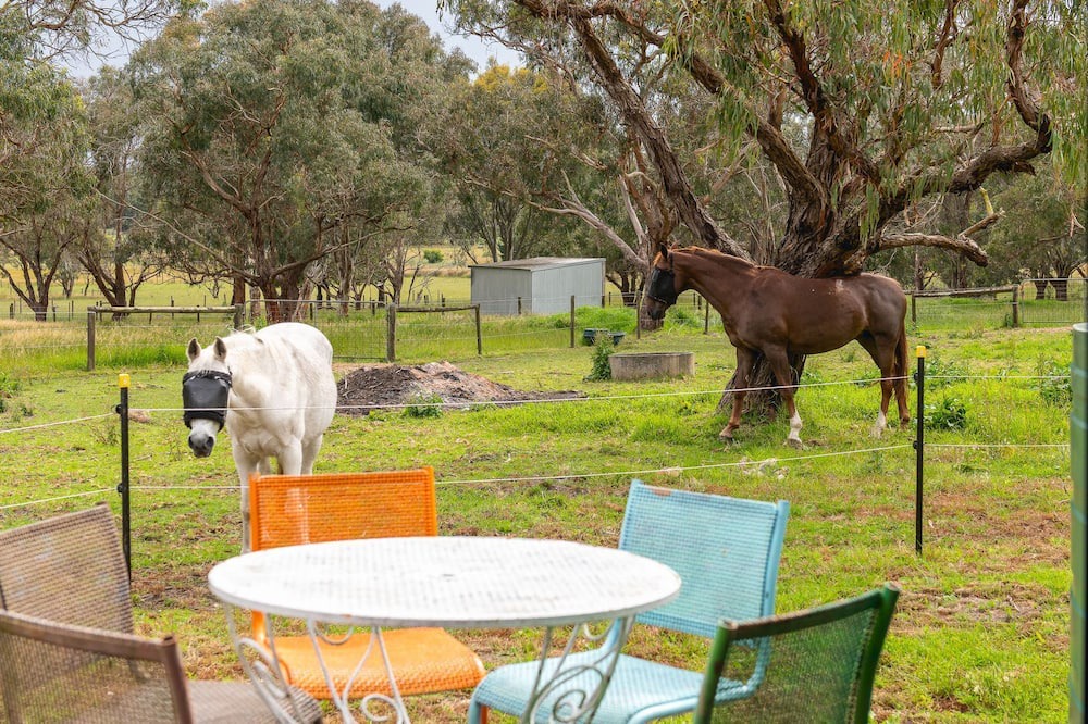 Photo of Outdoor in Tyabb