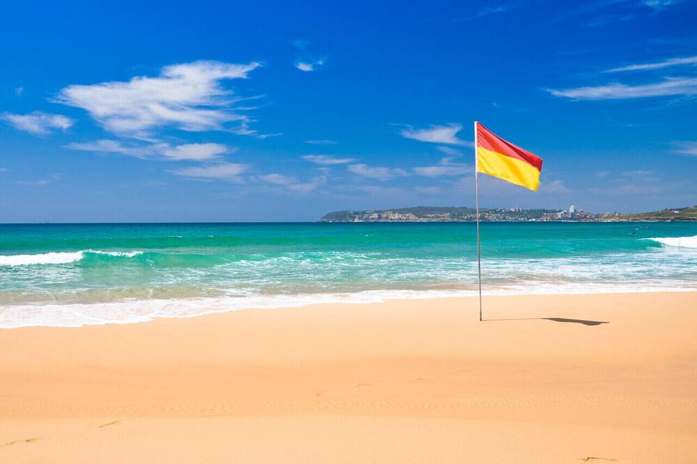Photo of Others in Dee Why