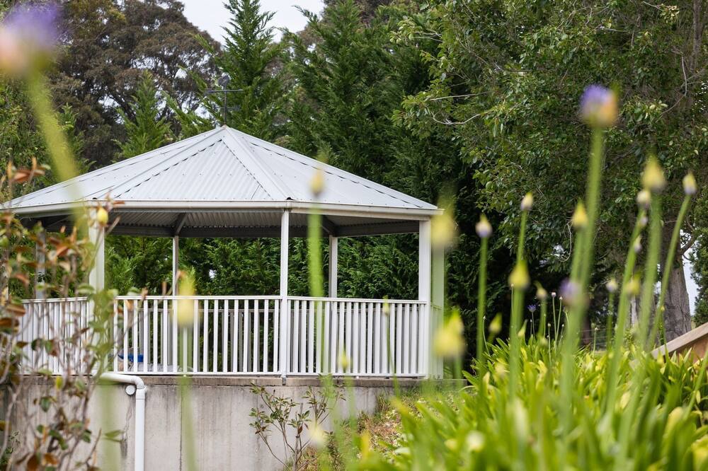 Photo of Outdoor in Little Forest