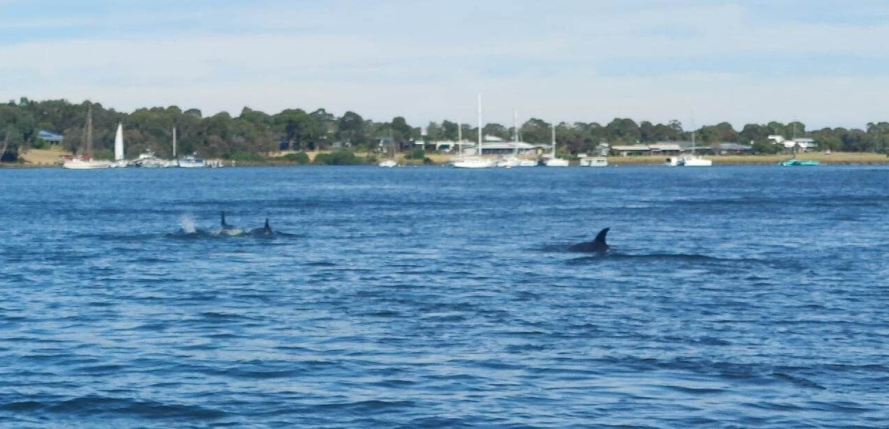 Photo of Others in Paynesville