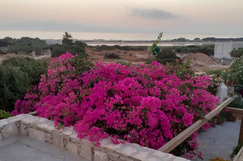 Photo of Bedroom in Naxos