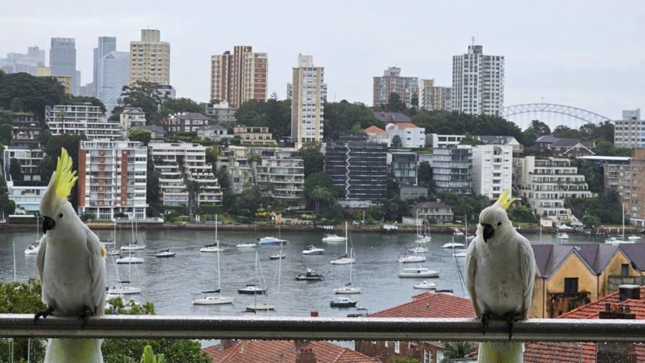 Photo of Others in Double Bay