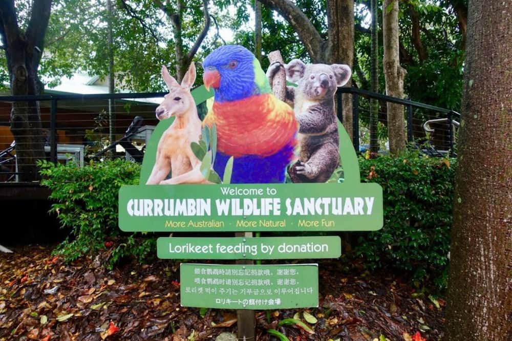 Photo of Others in Upper Coomera