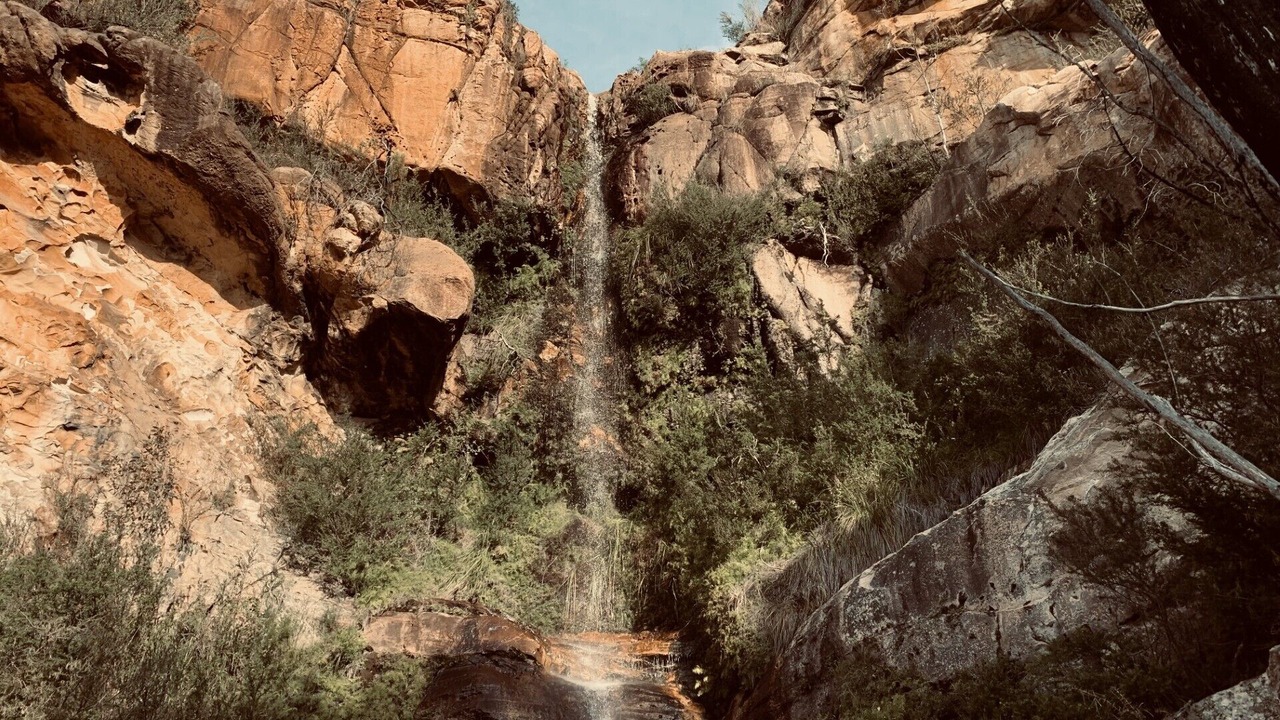 Photo of Outdoor in Wartook