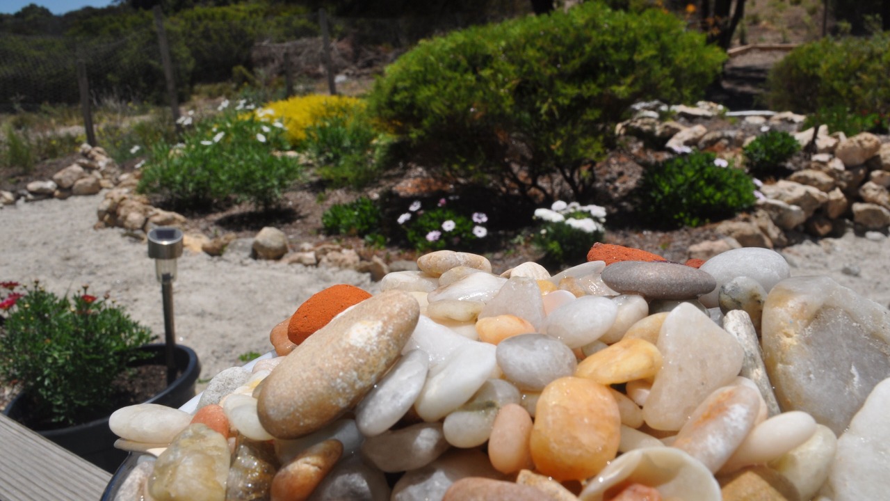 Photo of Others in Island Beach