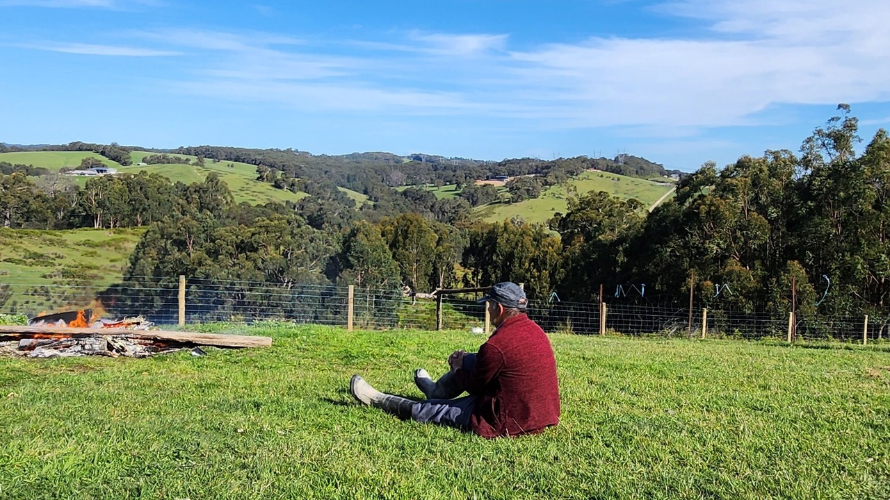 Photo of Outdoor in Hoddles Creek