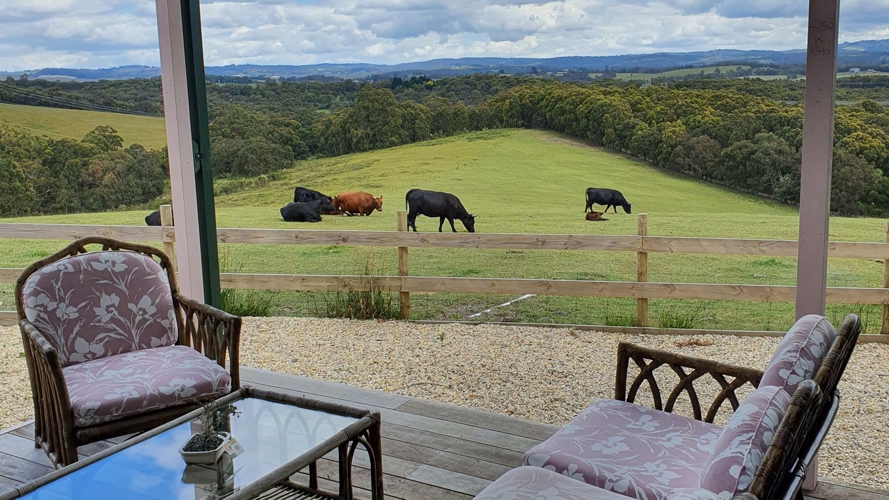 Photo of Outdoor in Hoddles Creek