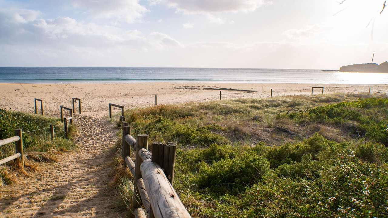 Photo of Others in Tathra