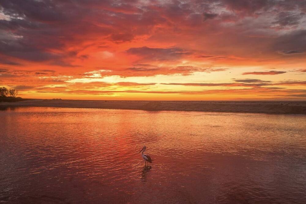 Photo of Others in Central Coast