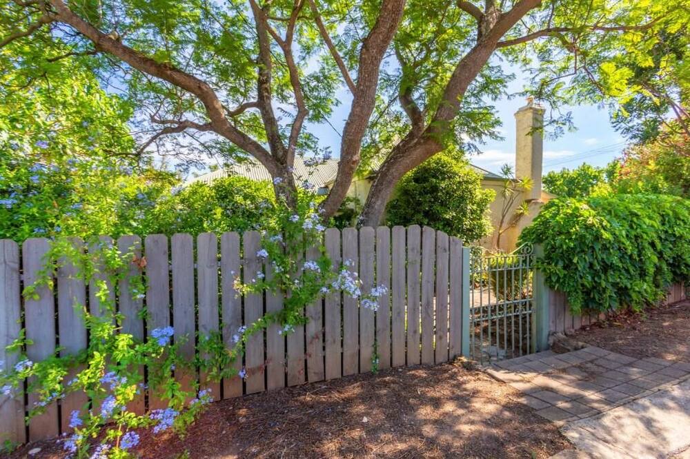 Photo of Outdoor in McLaren Vale