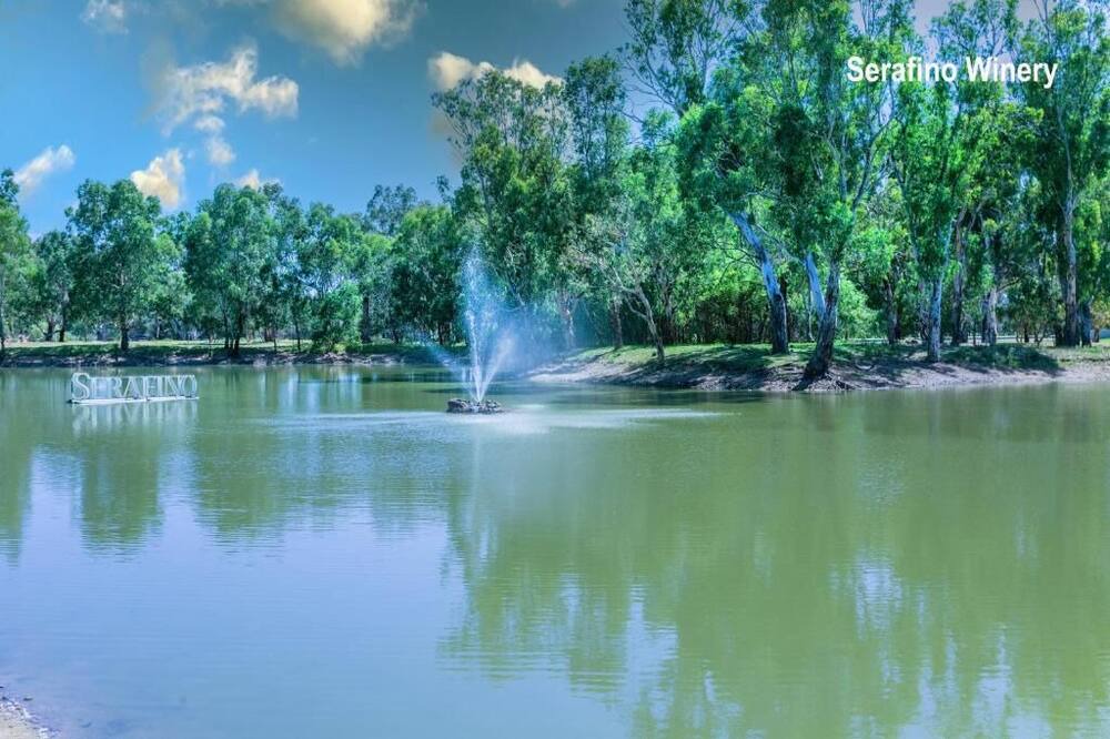Photo of Outdoor in McLaren Vale