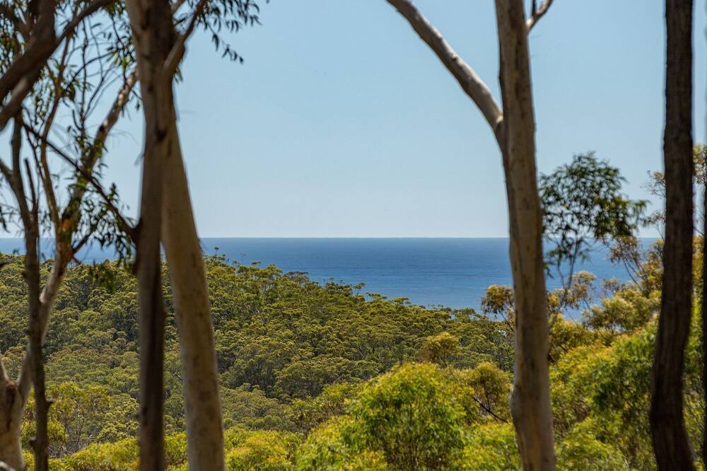 Photo of Outdoor in Blueys Beach