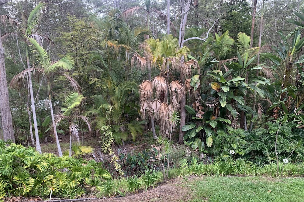Photo of Outdoor in Verrierdale