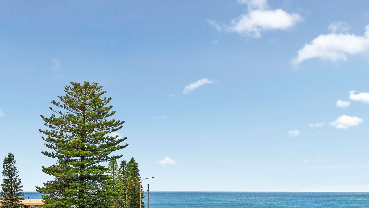 Photo of Others in Narrabeen
