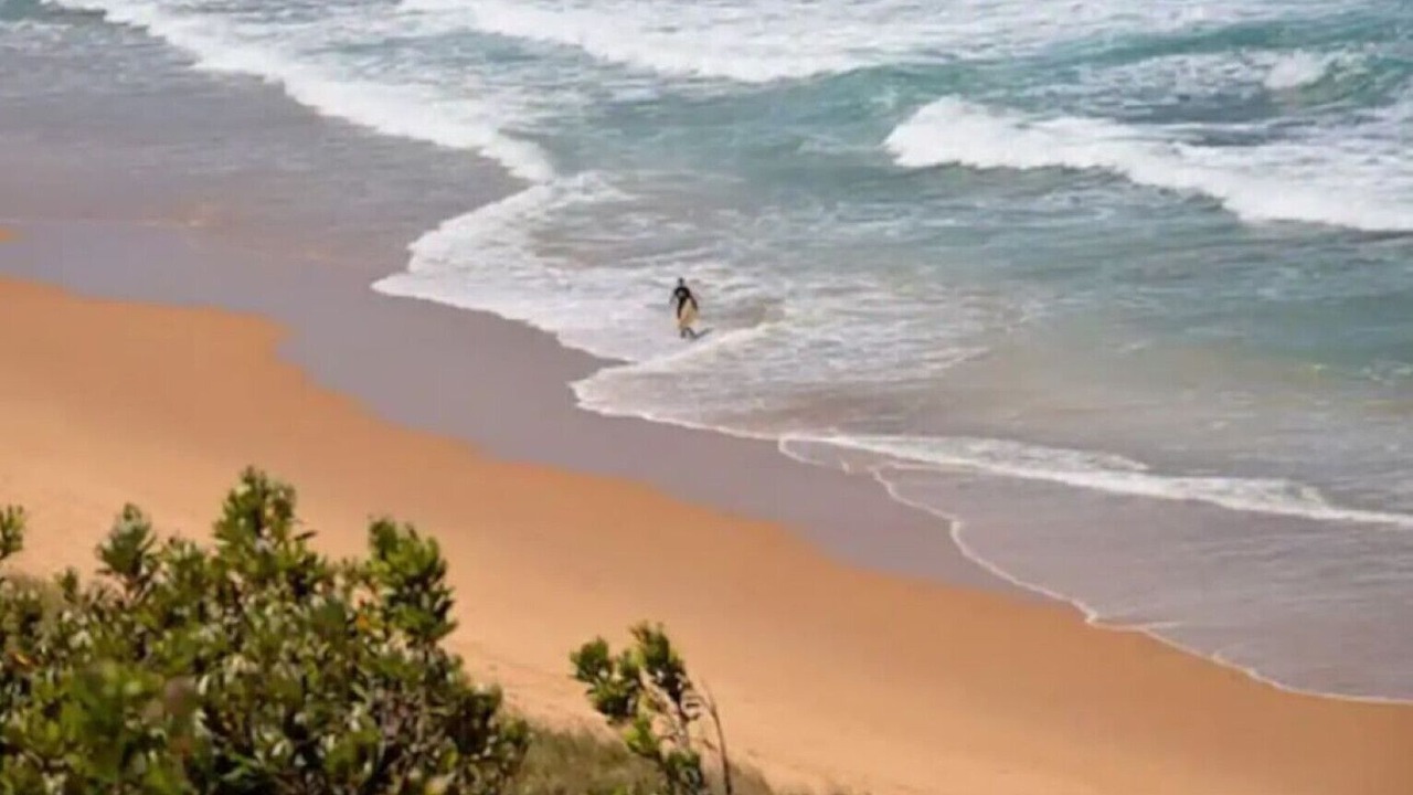 Photo of Others in Lake Tyers Beach