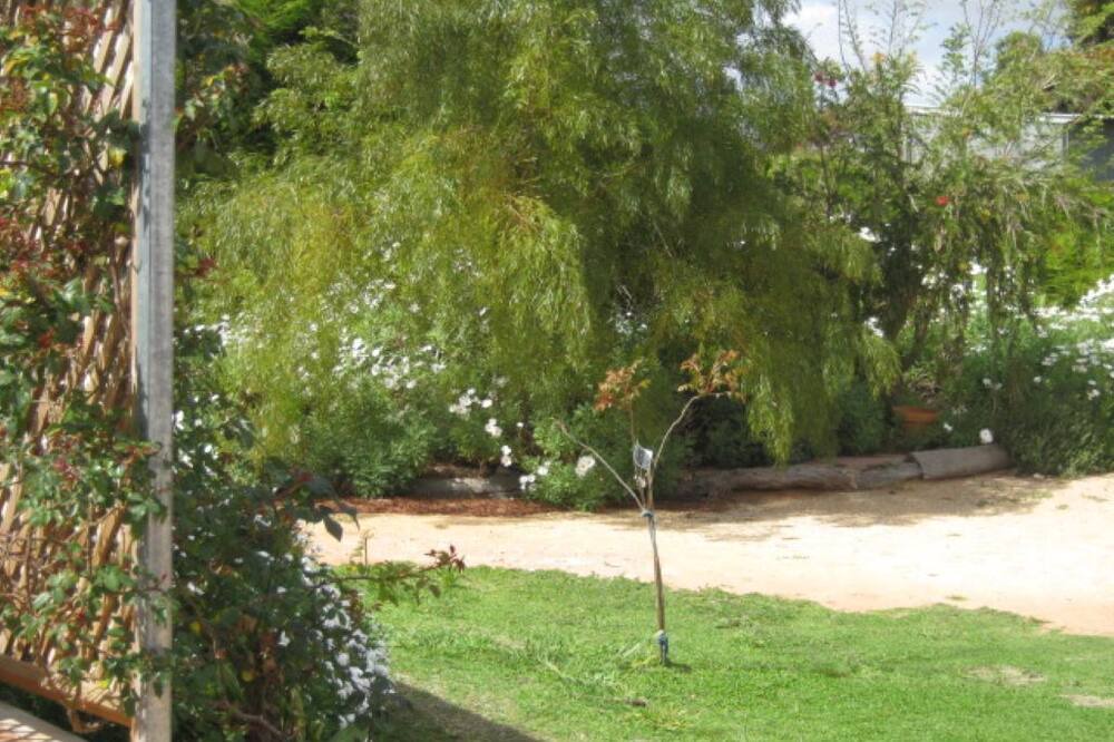 Photo of Outdoor in Waikerie