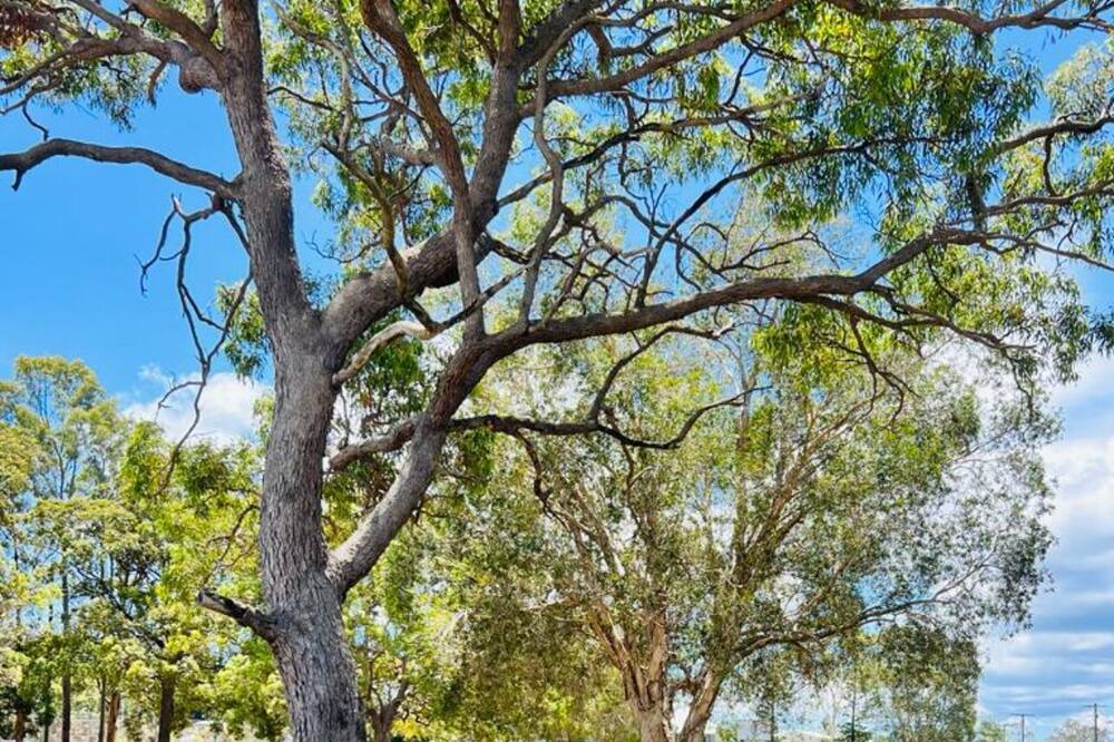 Photo of Outdoor in Jacobs Well