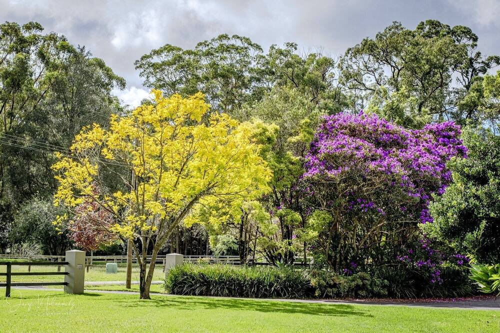 Photo of Outdoor in Erina