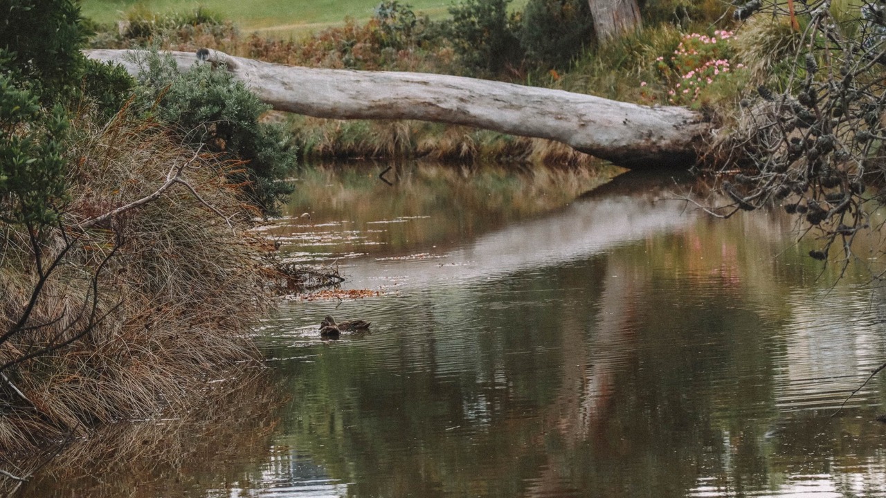 Photo of Outdoor in Huon Valley