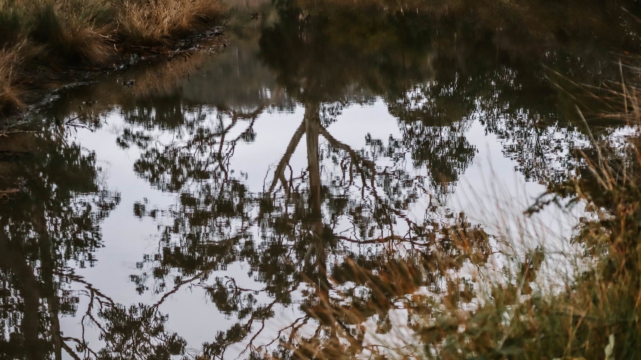 Photo of Others in Huon Valley