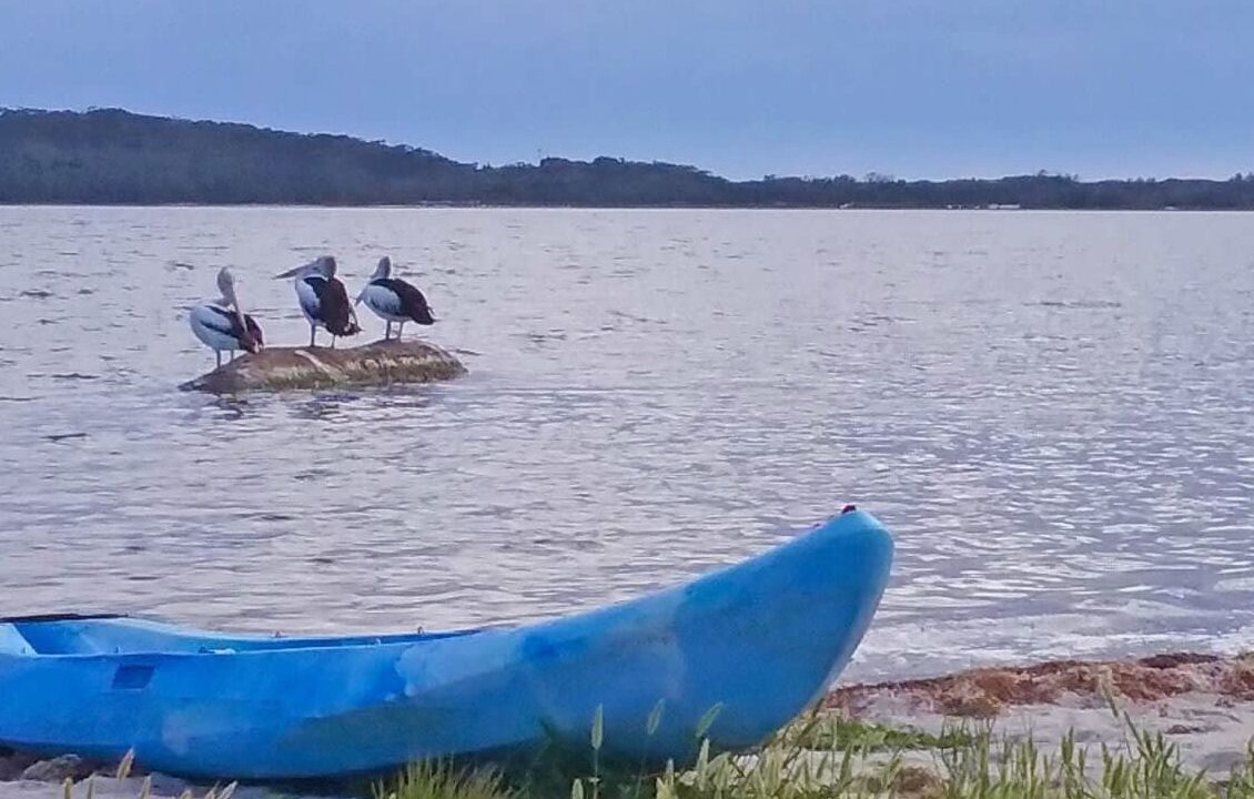 Photo of Others in Tuross Head