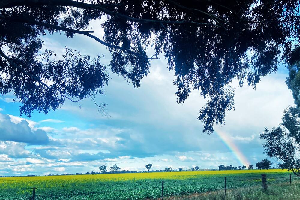 Photo of Others in Tocumwal